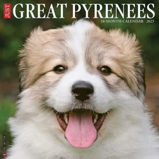 Just Great Pyrenees 2025 12" x 12" Wall Calendar