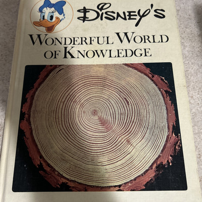 ヴィンテージディズニー・洋書 ヴィンテージ 洋書 絵本 ディズニー アラジン 仕掛け絵本 - メルカリ