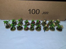 Warhammer AoS Warcry Hunters of Huanchi Seraphon converted Huanchi's Claws
