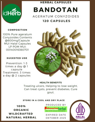 [idHerb] 100-800 Capsule Bandotan Ageratum Conyzoides WildCrafted