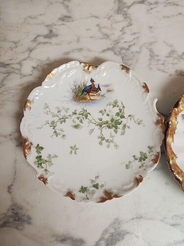 Antique Limoges Porcelain Dish, 2 Birds Walking Elegant 9" D Gold D&C France - Picture 3 of 9
