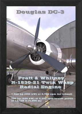 DC-3 Radial Engine Gerahmtes Wandbild Poster Leinwanddruck Bild