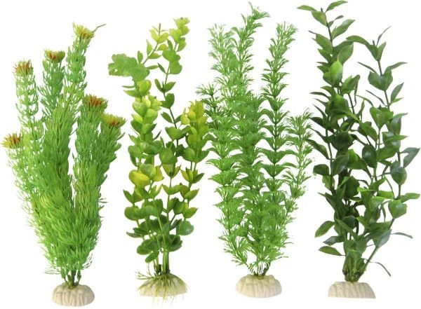 Orbit Aquapflanze grün Standard large Aquariumpflanze