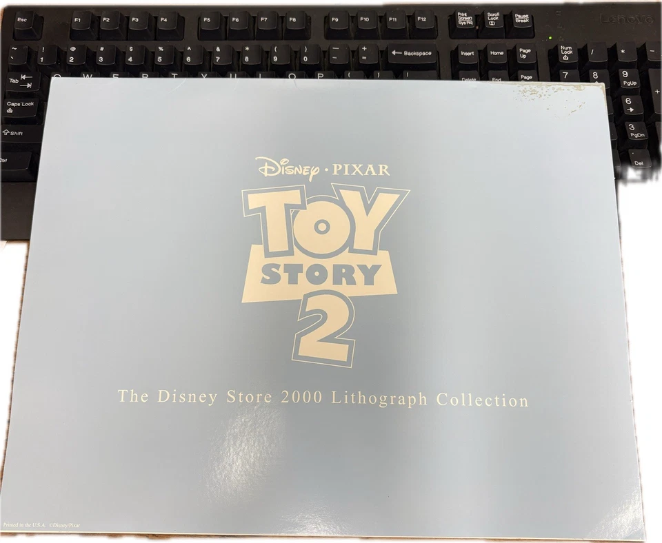 Toy Story 2 Litografía RARA Impresión Disney Woody Jessie NUEVO Excelente Estado  Foto 2 de 3