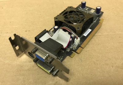 XFX  NVIDIA GeForce 7300 GS 256MB PCI Express x16 Graphics Card PVT72GWANG