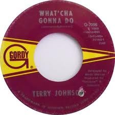 Terry Johnson - What'cha Gonna Do / Suzie, 7
