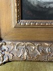 Picture 5 of 24