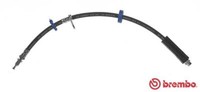Brembo T23193 Bremsschlauch 510 Mm FüR Citroen Jumpy Fiat Scudo Peugeot Expert