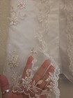 Picture 5 of 11