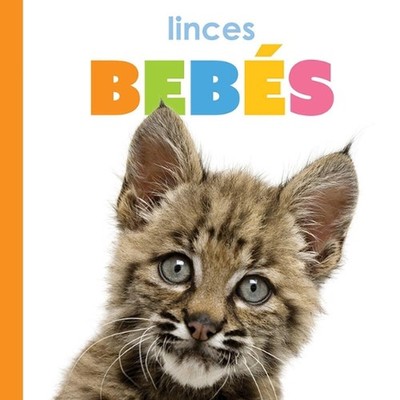 Linces Bebs by Kim Thompson (Spanish) Paperback Book