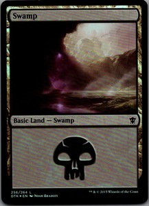 Swamp (256) Foil Dragons of Tarkir Magic: The Gathering