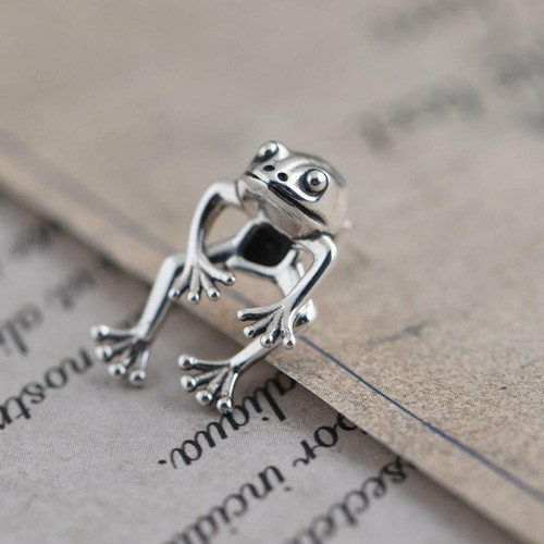 🔥Funny Cute Retro Frog Stud Earrings For Women Girls Vintage Stateme Anin - Bild 9 von 12