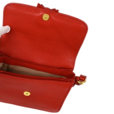 Miu Miu Red Goatskin Crossbody Bag 194/A XX91921 | eBay