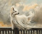 8x10 Matte Print - Chinese Crested Dog Sitting on Fence