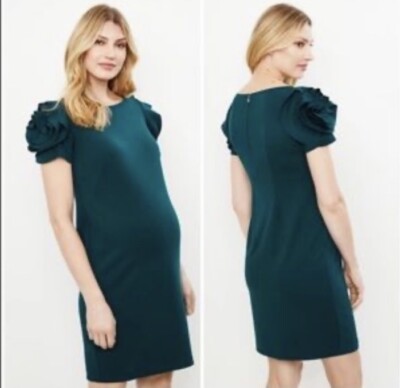 NWT Pietro Brunelli Salisburgo Maternity Dress  L  Rosette Sleeve Green $325