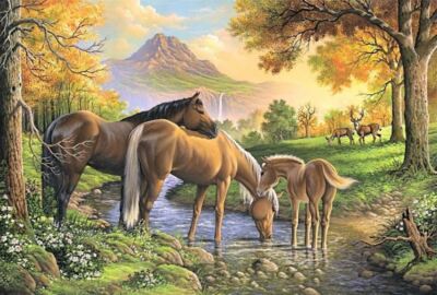 Diamond painting kit - Family of horses by Diamondmosaic