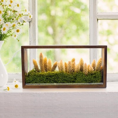 10x5 Shadow Box Frame with Led Light, Rustic Memory Display Case, 3D Picture Fra