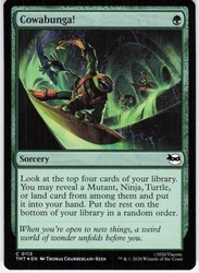 Cowabunga! 113/343 Teenage Mutant Ninja Turtles Foil