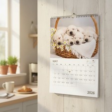 2026 Wall Calendar Lab Puppies 12x24 Sturdy Paper Organizing  Planning