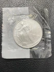 2004 American Silver Eagle $1 1 oz .999 Silver 31.63g Uncirculated Littleton