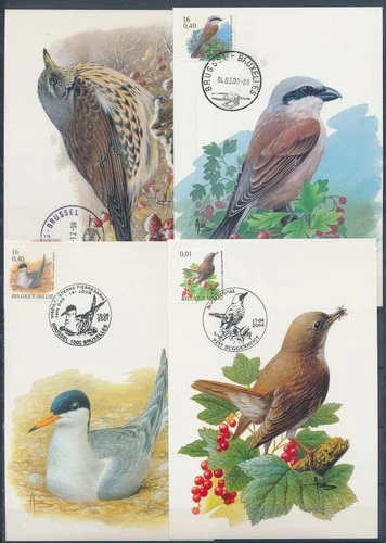 XE60231 Belgium 1996 -2004 animals fauna flora birds maxicards used