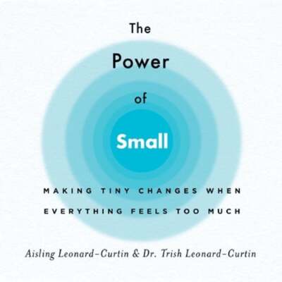 The Power of Small: Making Tiny Changes When Everything Feels Too Much: Used