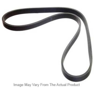 5060530 Dayco Drive Belt for Chevy 300 Express Van SaVana Chrysler Concorde 300M