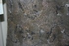 Bild 8 von 12