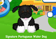 Webkinz Signature Portuguese Water Dog Virtual PET Adoption Code Only Messaged