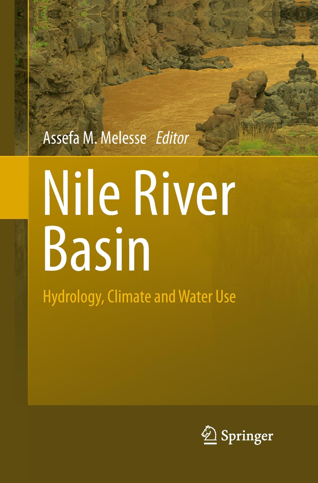 Thumbnail - Assefa M. Melesse | Nile River Basin | Taschenbuch | Englisch (2014) |