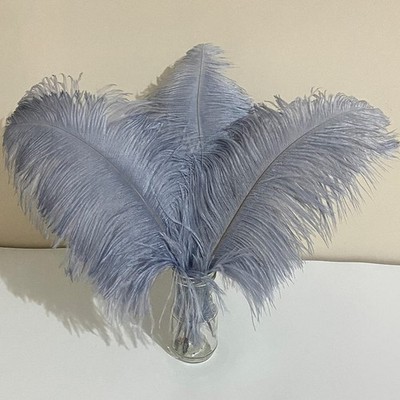 10 PCS Large Silver Gray Ostrich Feathers 16-18 Inch Fluffy Wedding Decor