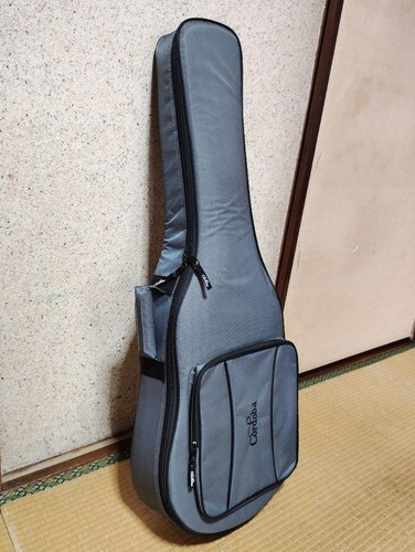Cordoba Fusion Series 12 Nylon String Guitar 25.6" Scale Natural Case Pickup - Picture 12 of 12