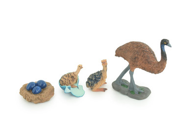 Emu Life Cycle, 4 Piece Toy Set, Realistic Rubber Model, 3.5'' CH996 BB215