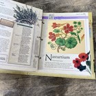 Foto 6 di 8