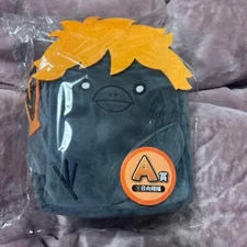 Haikyu Hinagarasu Crow Hinata Mascot Plush Bag TOHO Animation Prize Japan