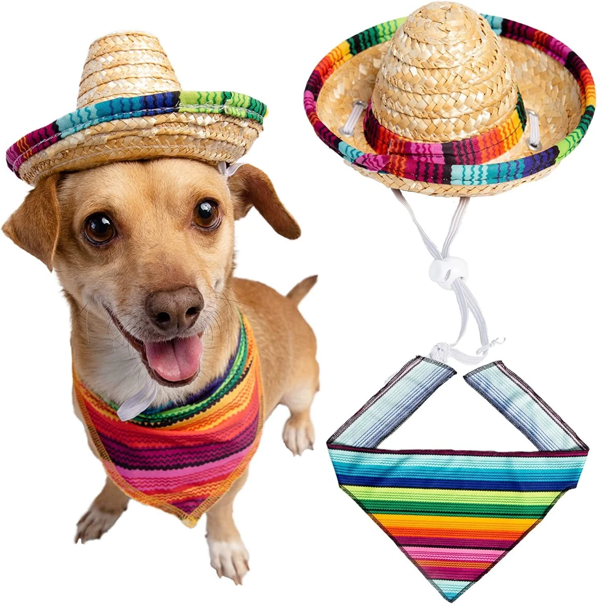 Mexican hat cheap for dogs