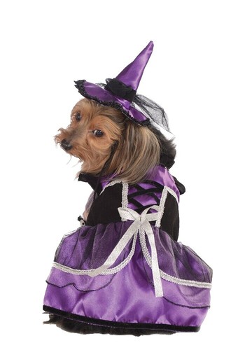 Vehomy Halloween Dog Costume Dog Witch Cape Witch Hat Set Pet