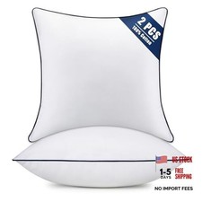 Throw Pillow Inserts Set of 2-Fluffy Square 18x18 Inch Pack of 2 -Blue Edge