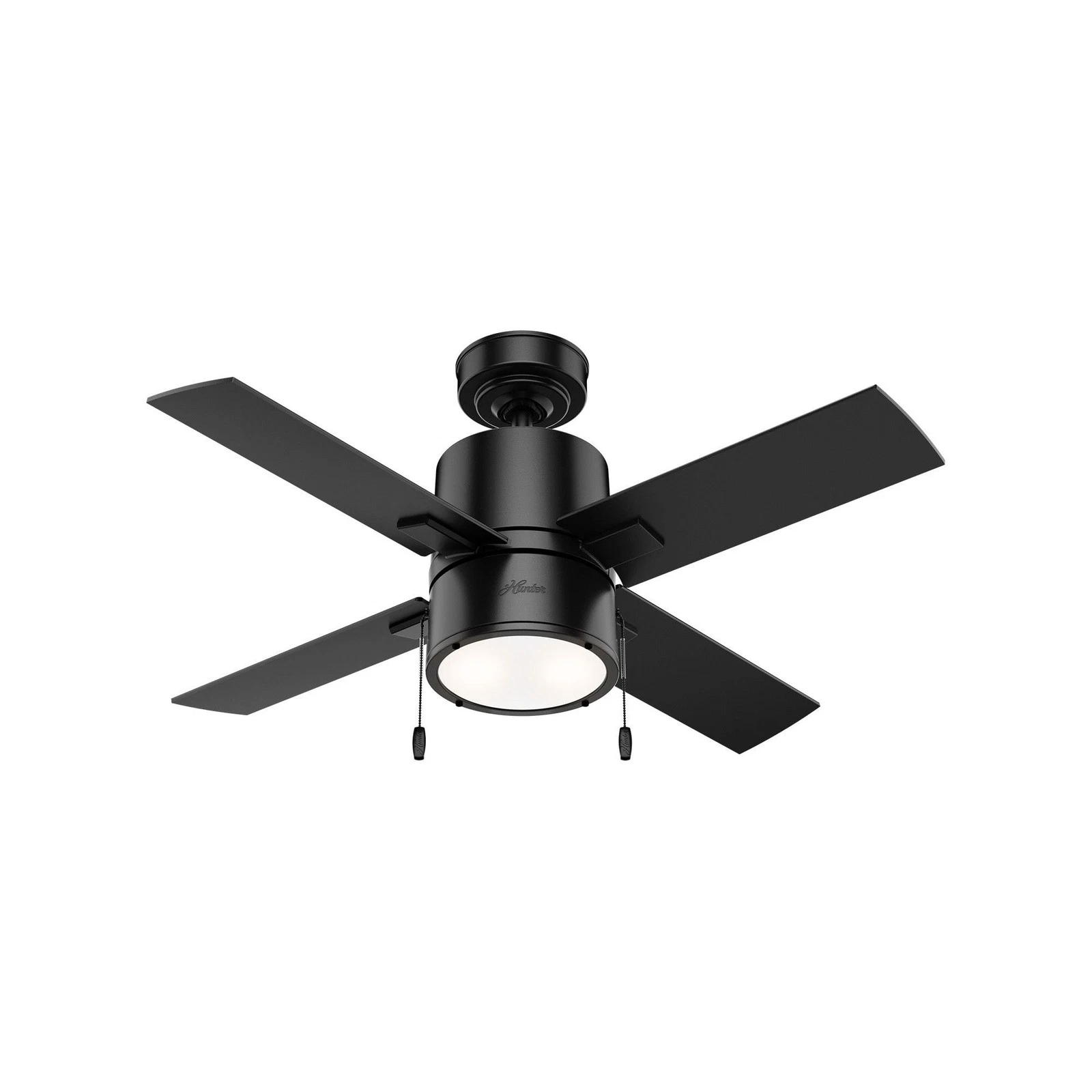Hunter Fans Beck Ceiling Fan