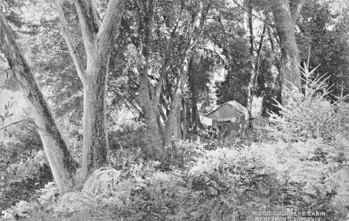 MT HERMON CALIFORNIA ~ HOLZHÄCKSLERKABINE - EDWARD MITCHELL1910ss PSTMK POSTKARTE - Bild 1 von 3
