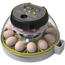 12 Egg Incubator with Humidity Display Egg Candler Automatic Egg Turner 2024