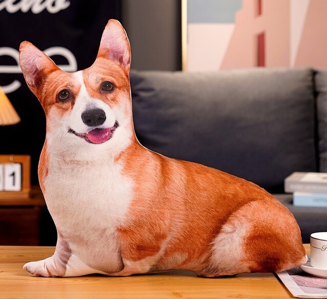 Welsh Corgi Dog 20 Inch Printed Pillow Stuffed Animal Plush Toys - Main Image