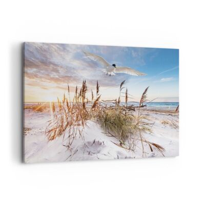 Impression sur Toile 120x80cm Tableaux Image Photo Mouette Mer Côte  Decoration