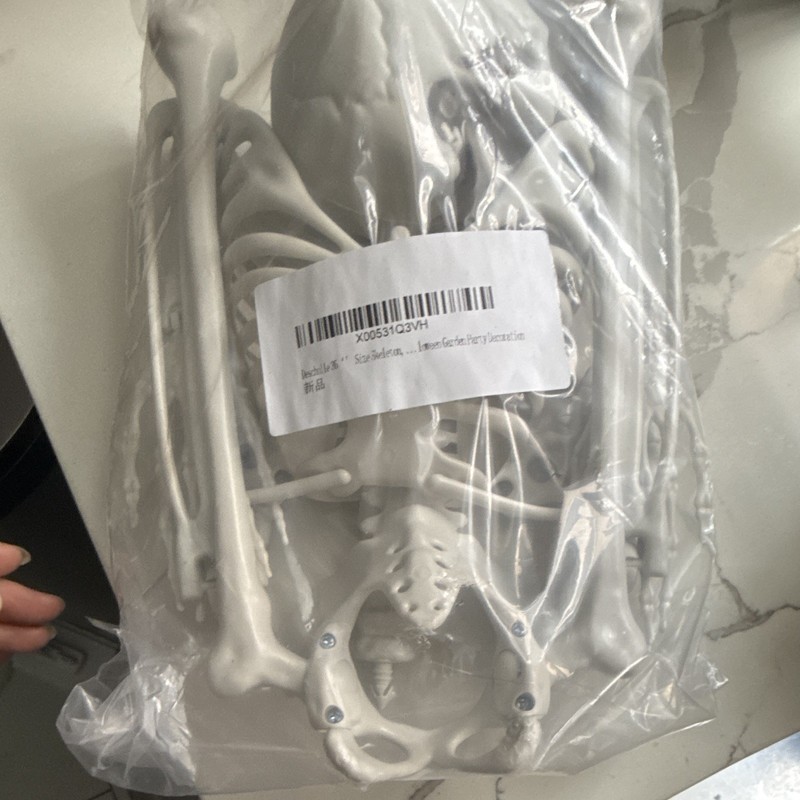 Human Skeleton Anatomical Model Plastic Parts Torso Arms Legs XD053103VH