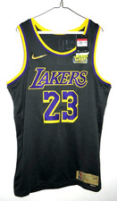 Nike LeBron James 23 Los Angeles Lakers Earned Jersey L 48 Black/Purple