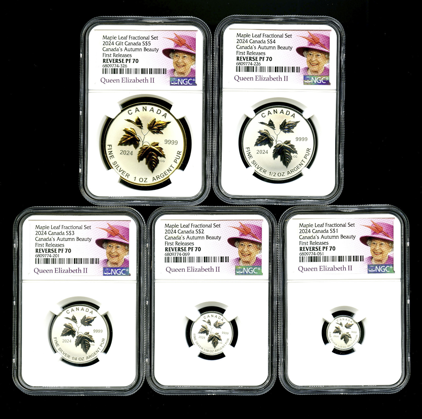 2024 QUEEN ELIZABETH REIGN SILVER MAPLE LEAF NGC PF70 5COIN REVERSE