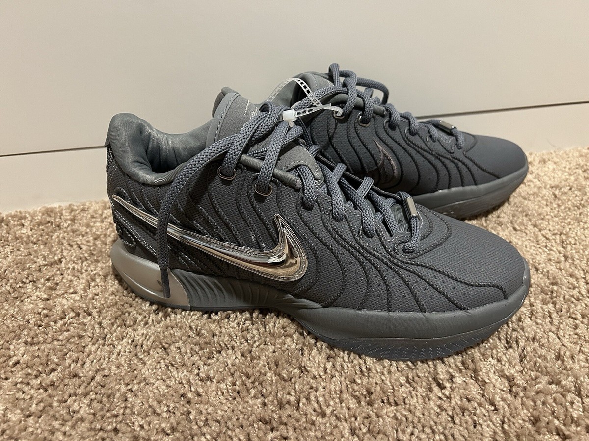 Nike LeBron XXI 21 Resilience Basketball Shoes Cool Grey/Metallic