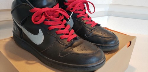 nike dunk nerd