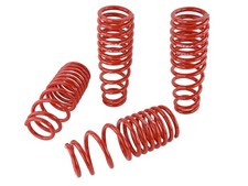 Skunk2 For Lowering Springs - 1996-2000 Honda Civic Skunk2 For Lowering Springs - 1996-2000 Honda Civic