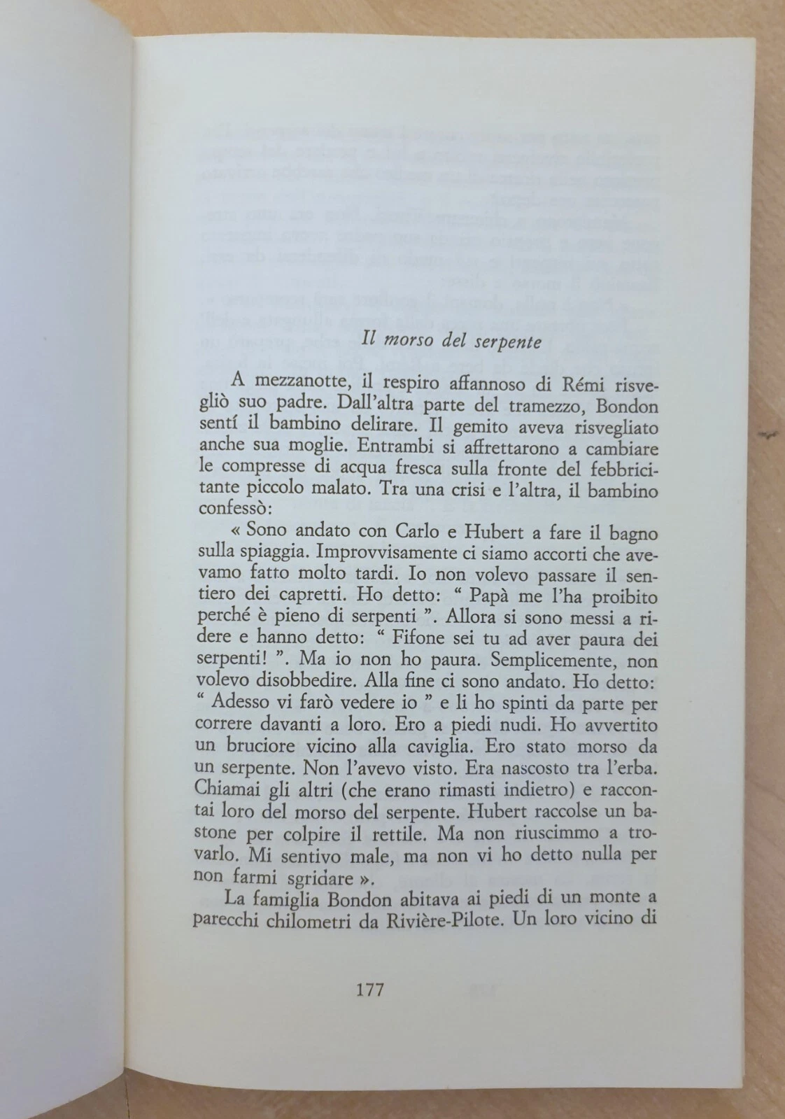 Foto 7 di 8